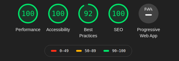 Google Lighthouse report with a Performance score of 100